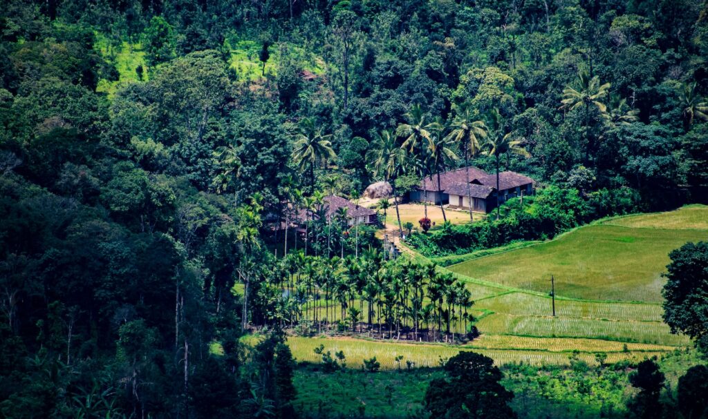 coorg, karnataka, top 10 indian destinations to visit in january 2024, india, happening heads